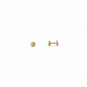 Brinco Infantil Banhado a Ouro 18k Flor Lisa