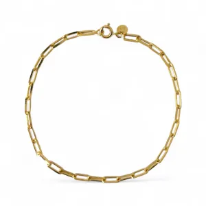 Pulseira Masculina Elo Cartier Banhada a Ouro 18k - 20cm