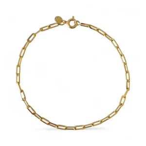 Pulseira Masculina Elo Cartier Banhada a Ouro 18k - 20cm