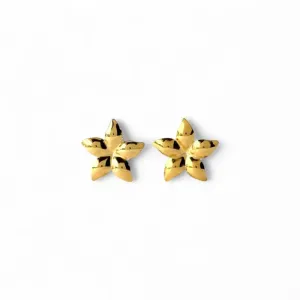 Brinco Orgânico Flor Banhado a Ouro 18k Liso