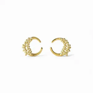 Brinco Circular Folhas Banhado a Ouro 18k com Zircônias