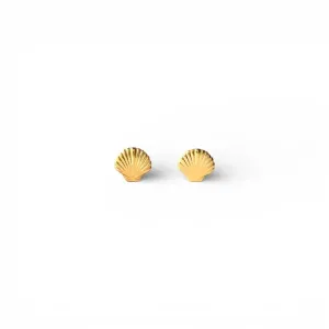 Brinco Concha do Mar Banhada a Ouro 18k