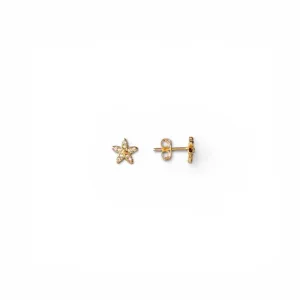 Brinco Estrela do Mar Banhado a Ouro 18k com Zircônias - 7mm