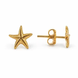 Brinco Estrela do Mar Lisa Banhado a Ouro 18k Zircônia - 8 mm