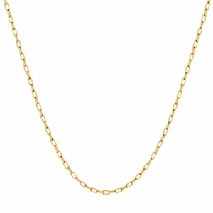 Corrente Masculina Elo Cadeado Banhada a Ouro 18k - 60cm