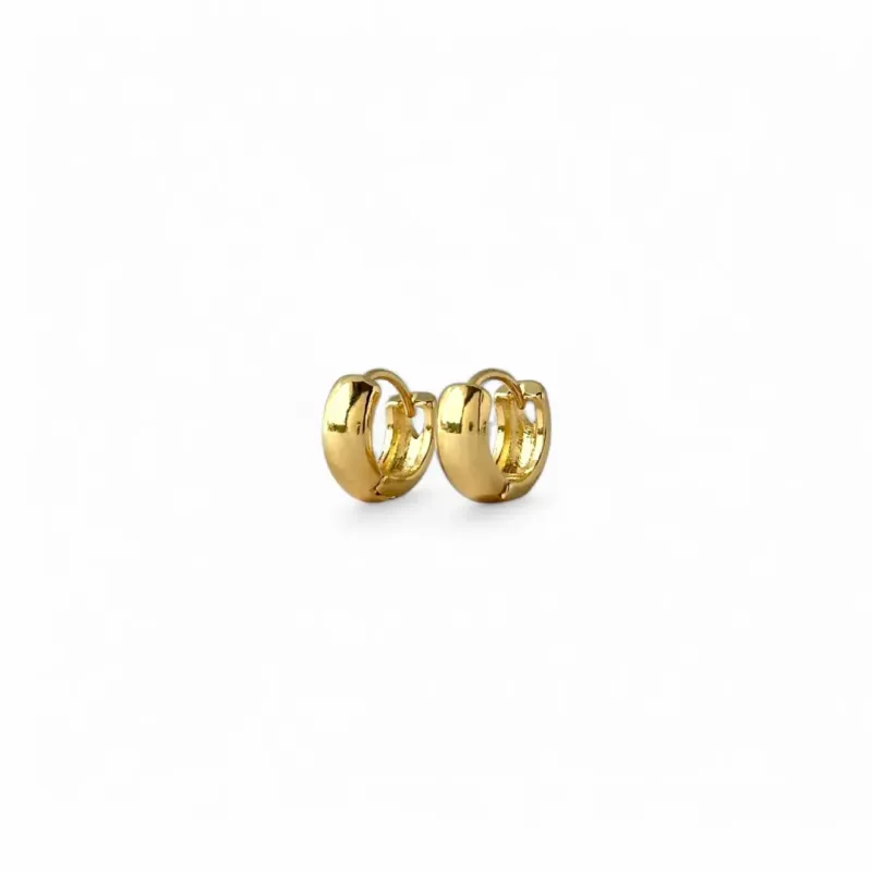 Brinco Argola Lisa Banhado a Ouro 18k