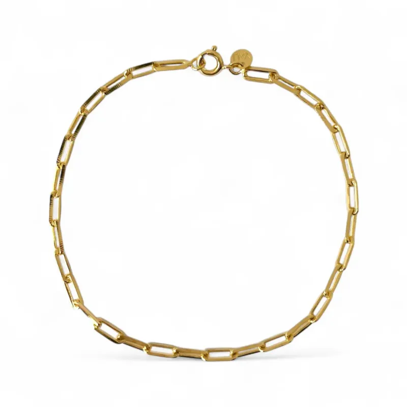 Pulseira Masculina Elo Cartier Banhada a Ouro 18k - 20cm