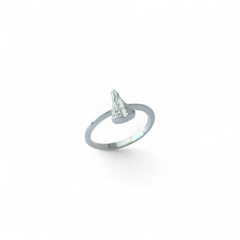 Anel Nossa Senhora Prata 925 com Zircônias
