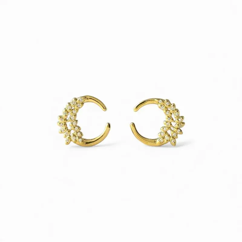 Brinco Circular Folhas Banhado a Ouro 18k com Zircônias
