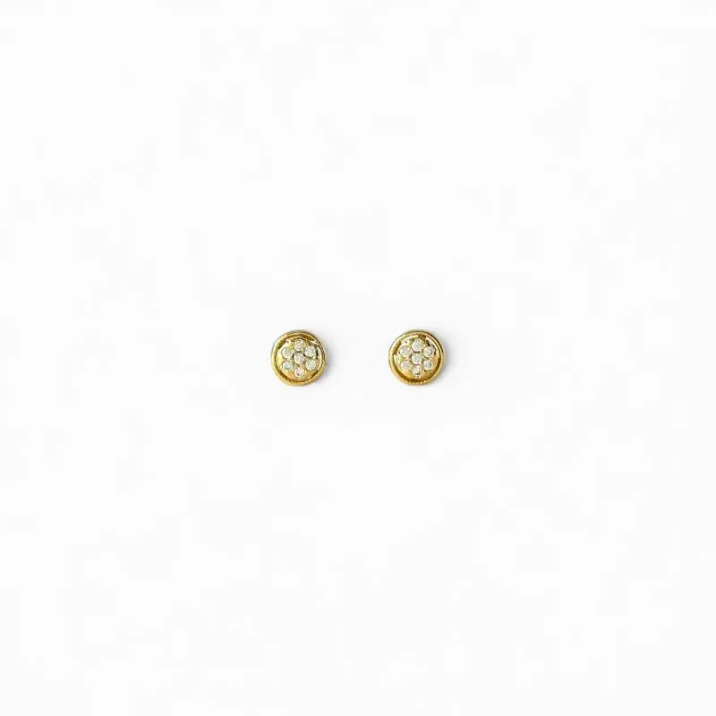 Brinco Círculo Banhado a Ouro 18k com Zircônias