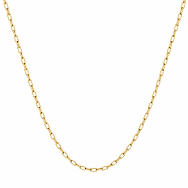 Corrente Masculina Elo Cadeado Banhada a Ouro 18k - 60cm
