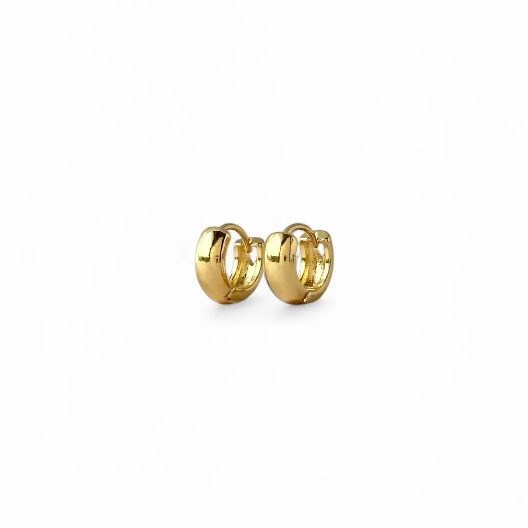 Brinco Argola Lisa Banhado a Ouro 18k