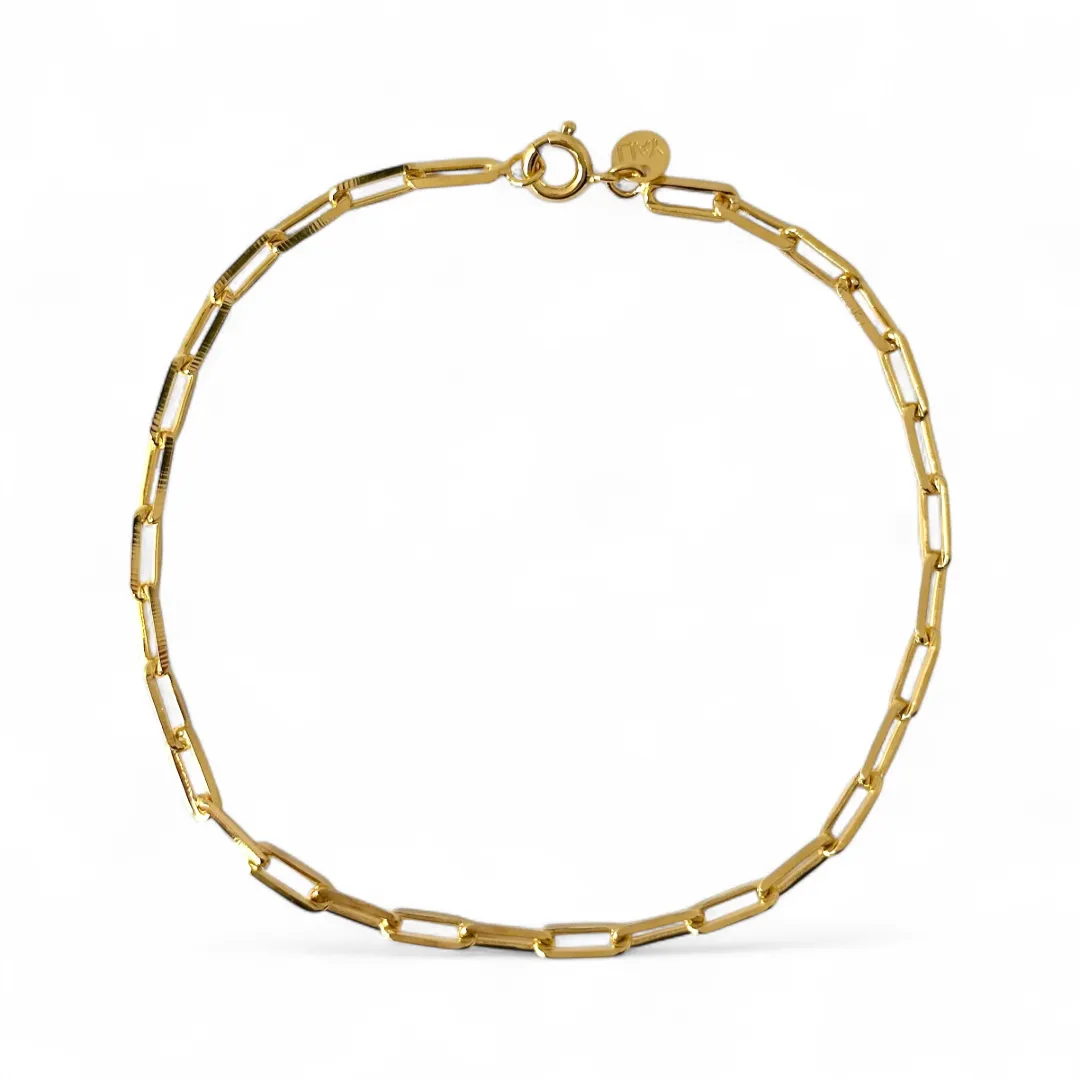 Pulseira Masculina Elo Cartier Banhada a Ouro 18k - 20cm