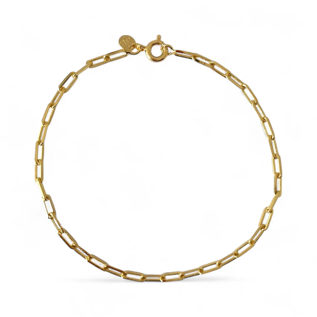 Pulseira Masculina Elo Cartier Banhada a Ouro 18k - 20cm