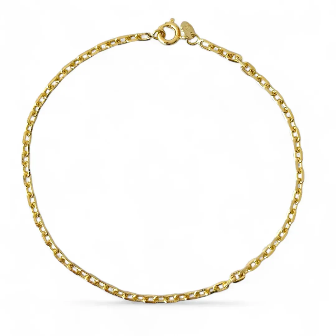 Pulseira Masculina Elo Estilo Cadeado Banhada a Ouro 18k
