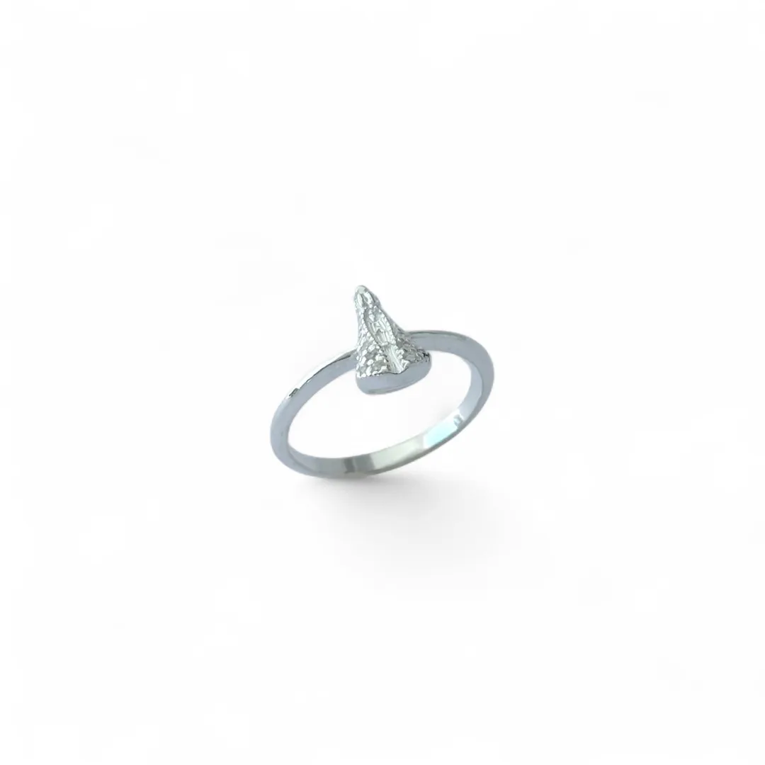 Anel Nossa Senhora Prata 925 com Zircônias