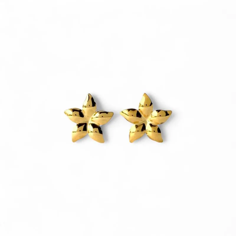 Brinco Orgânico Flor Banhado a Ouro 18k Liso