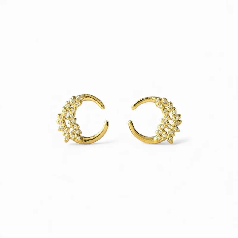 Brinco Circular Folhas Banhado a Ouro 18k com Zircônias